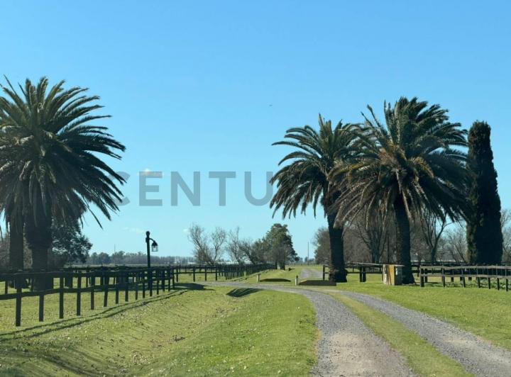 Terreno · 14200m²