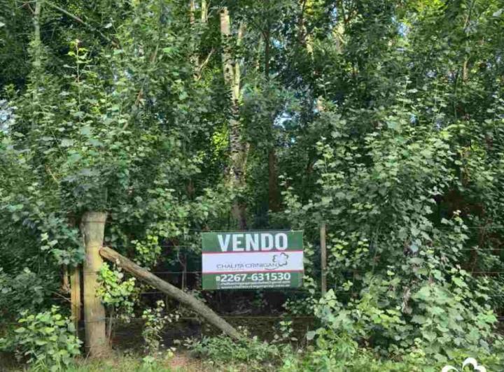 Terreno · 10000m²