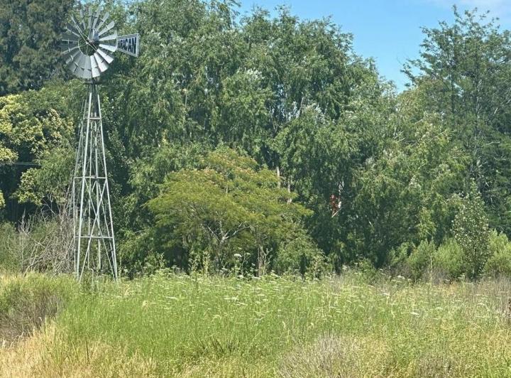 Campo · 10000m² · 1 Ambiente