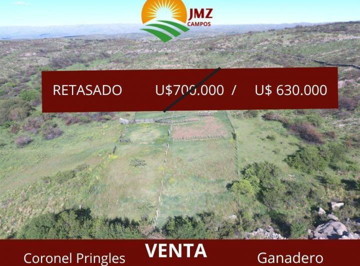 Campo · 456m²