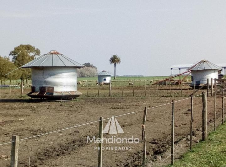 Campo · 235ha