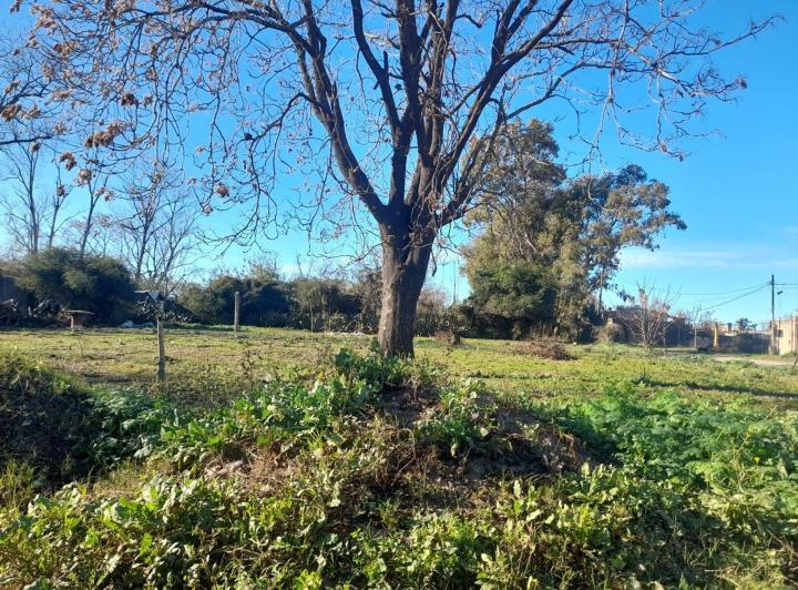 Terreno · 433m²