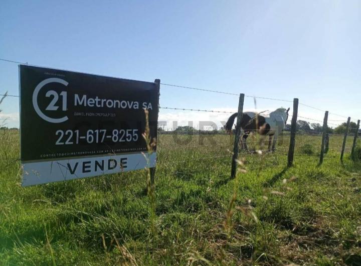 Terreno · 7459m²