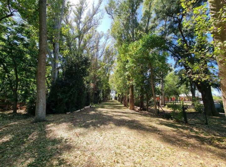 Campo · 1220ha