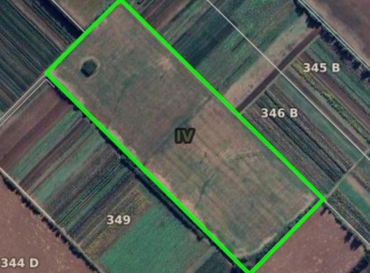 Campo · 17m²