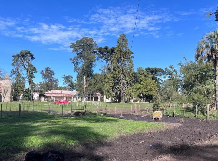 Campo · 452ha