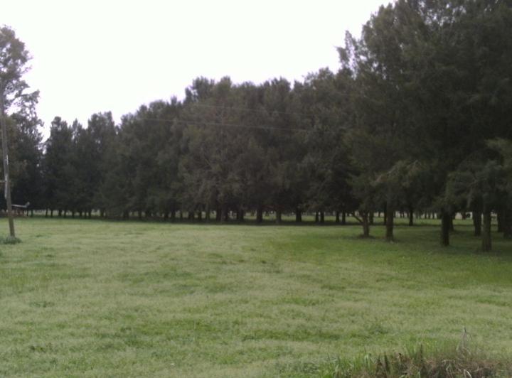Campo · 900m²