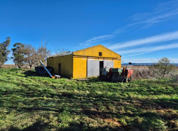 Campo · 300000ha
