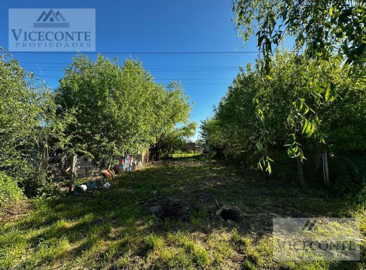 Terreno · 198m²