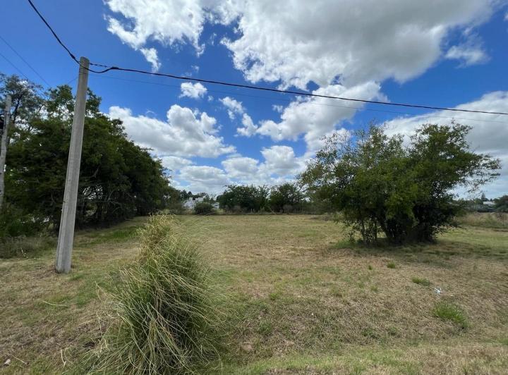 Terreno · 1000m²