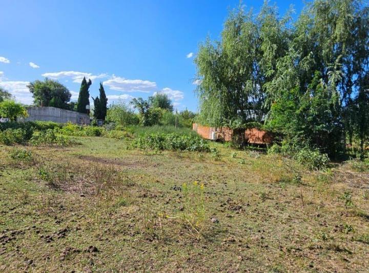 Terreno · 919m²