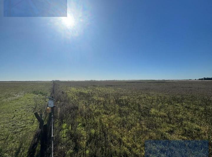 Campo · 92ha