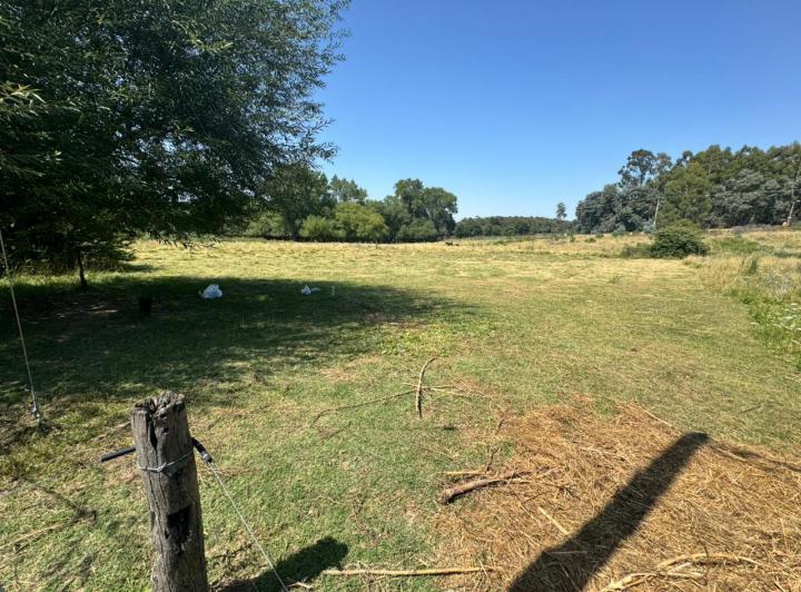 Bóveda, nicho o parcela · 750m²