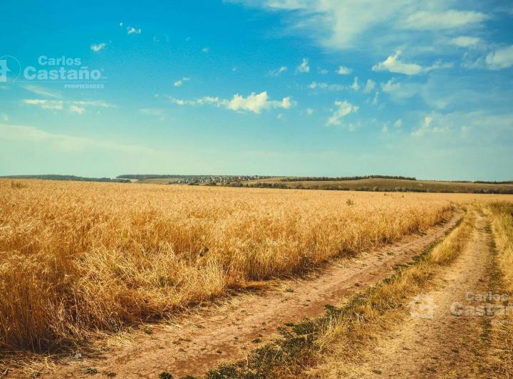 Terreno · 35000000m²