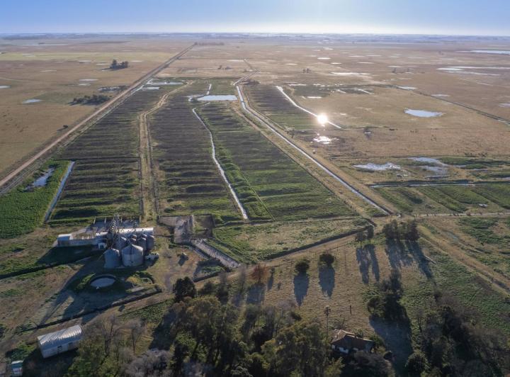 Campo · 1500ha · 6 Ambientes