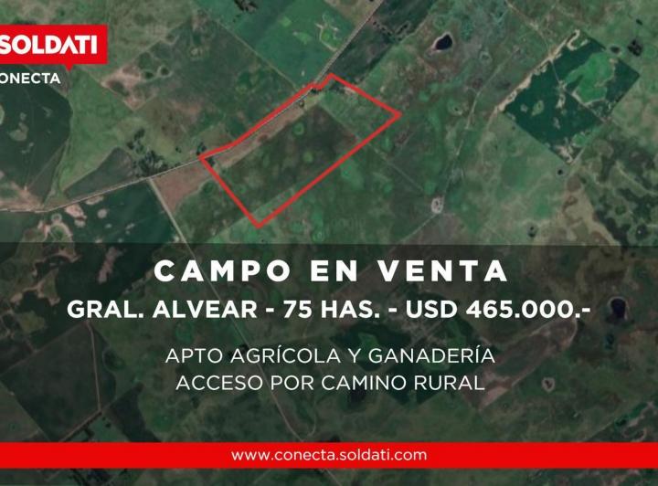 Campo · 75ha