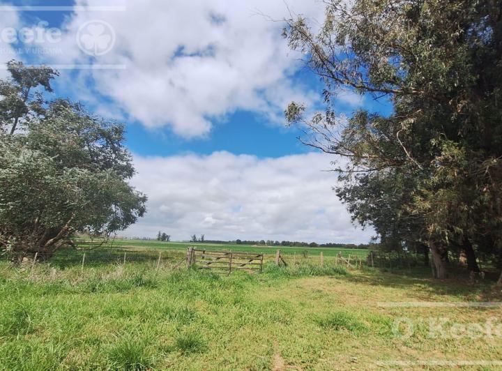 Campo · 340000ha