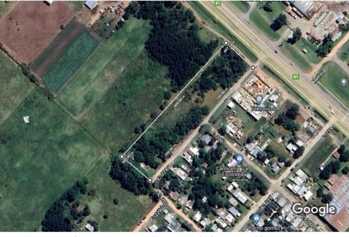 Campo · 10000m²