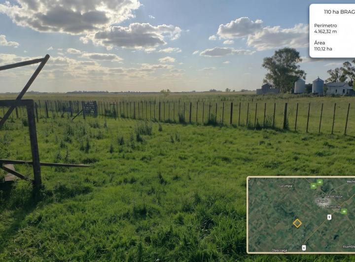 Campo · 110ha · 3 Ambientes