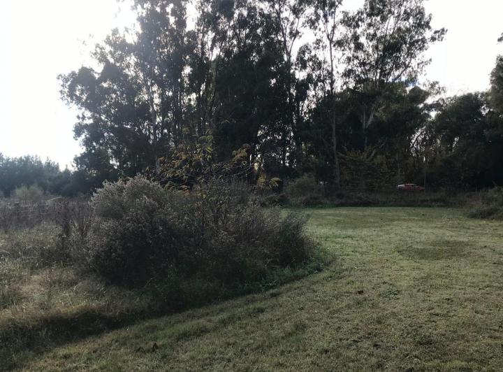 Terreno · 1923m²