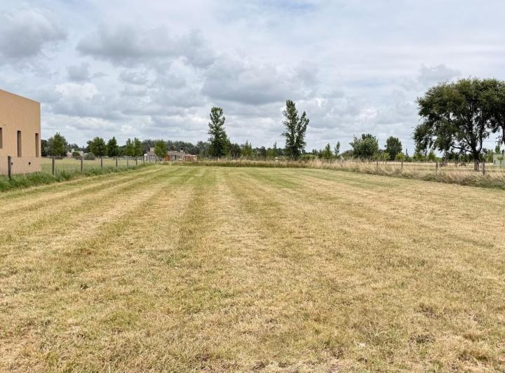 Terreno · 1200m²