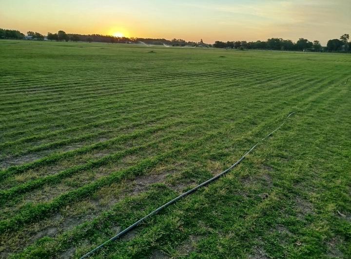 Campo · 15m² · 4 Ambientes