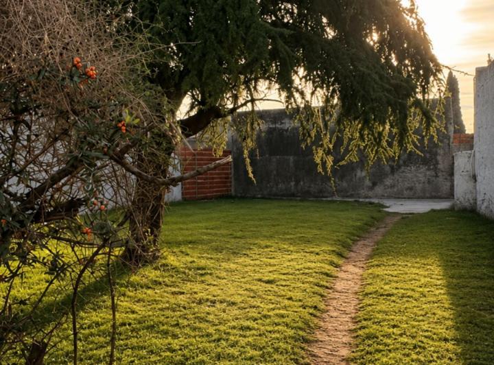 Terreno · 220m²