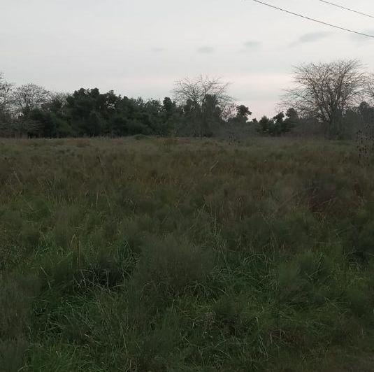 Terreno · 10900m²