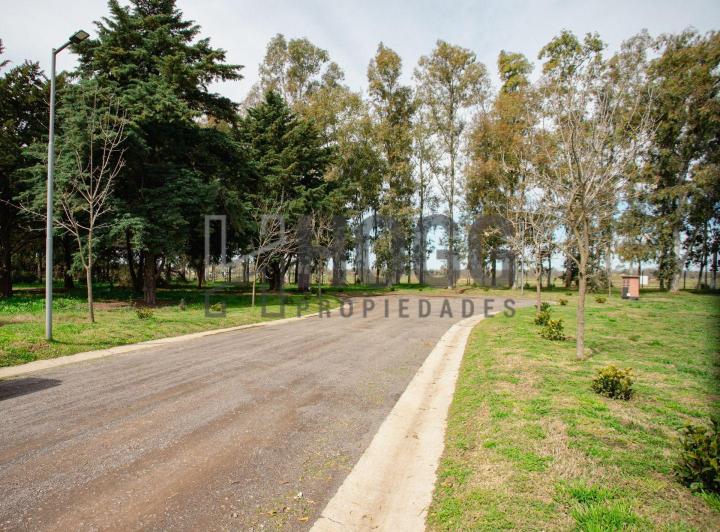 Terreno · 1000m²