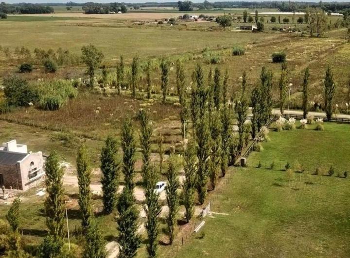 Terreno · 2000m²