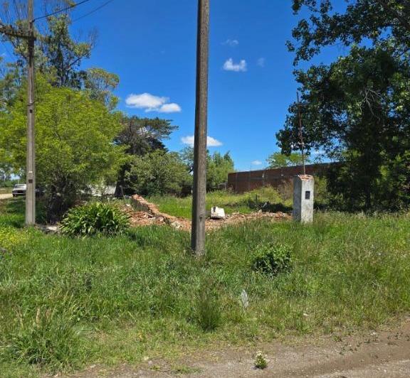 Terreno · 1250m²