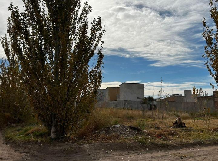 Terreno · 446m²