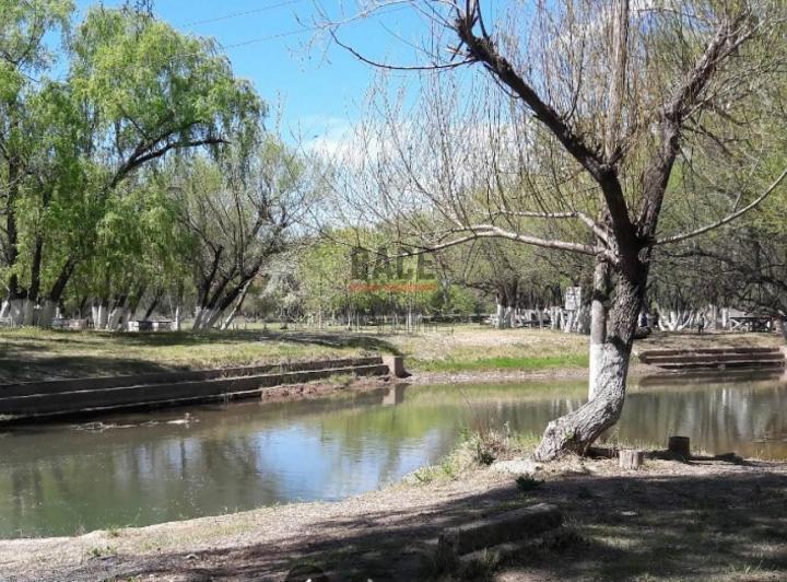Campo · 300000m²