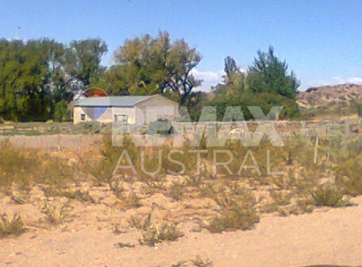 Campo · 59000ha
