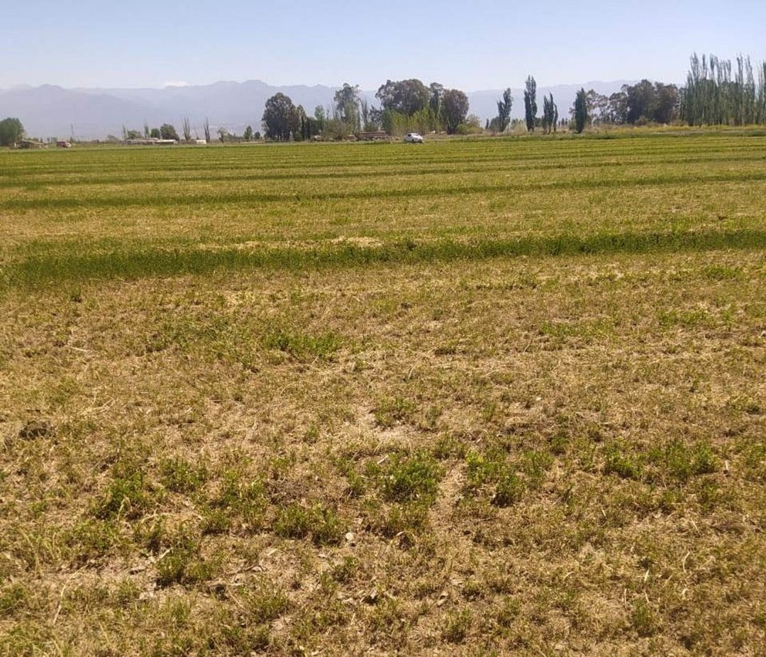 VENTA FINCA 6 ha-EL PASTAL LAVALLE