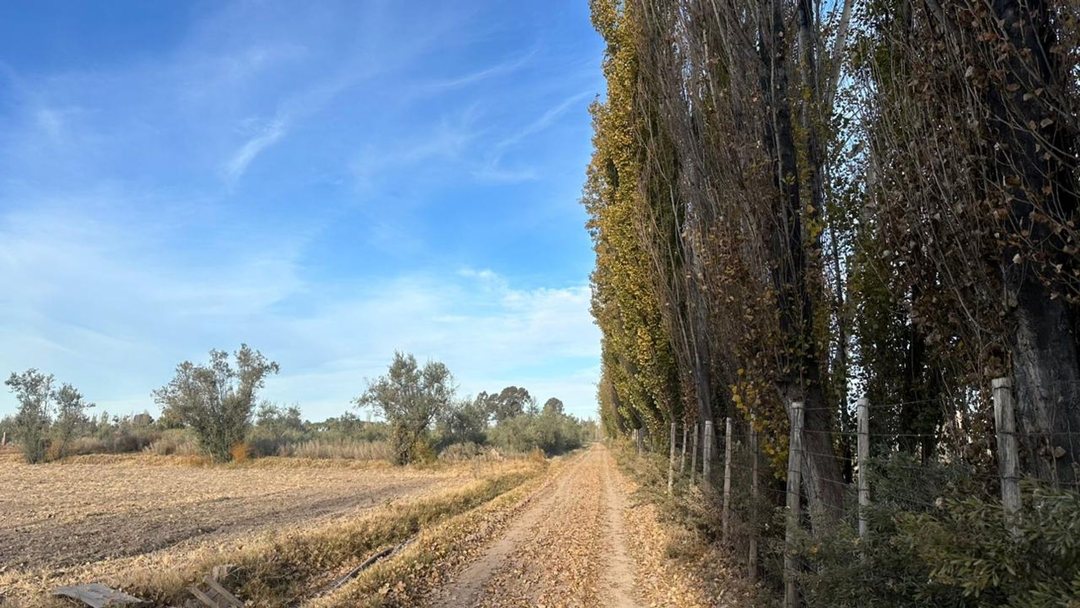 VENTA LOTE DE 2600m2 S/ CALLE MITRE A MTS DE SERPA