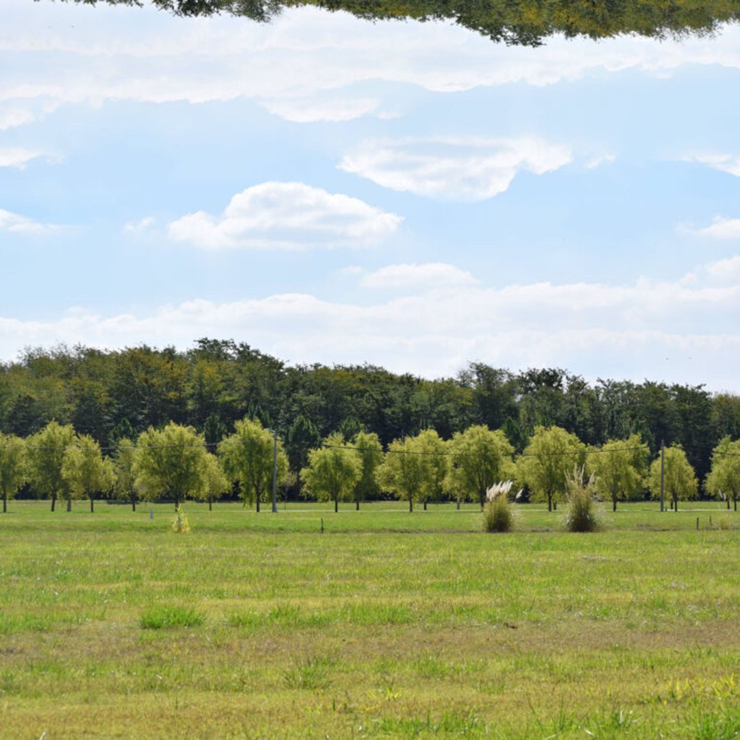 LOTE CAMPOS DE ROCA II VENTA BRANDSEN
