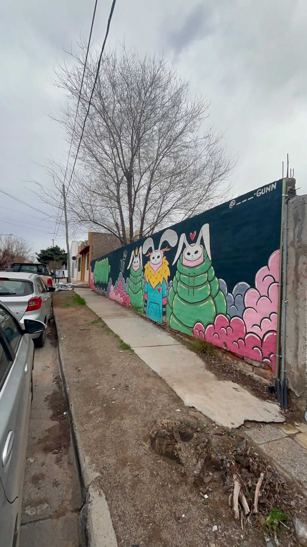 TERRENO EN VENTA - SANTA GENONEVA - NEUQUEN