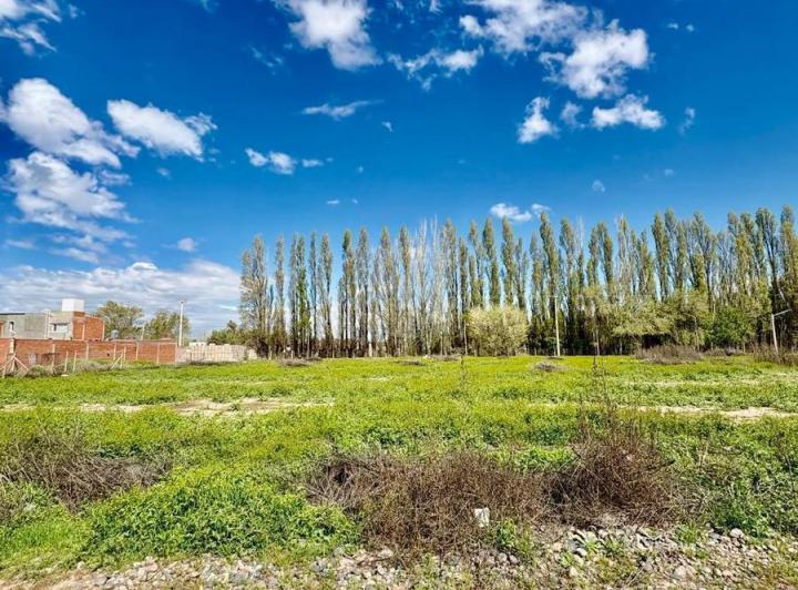 Terreno · 287m²