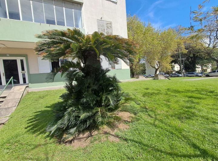 Departamento · 60m² · 3 Ambientes
