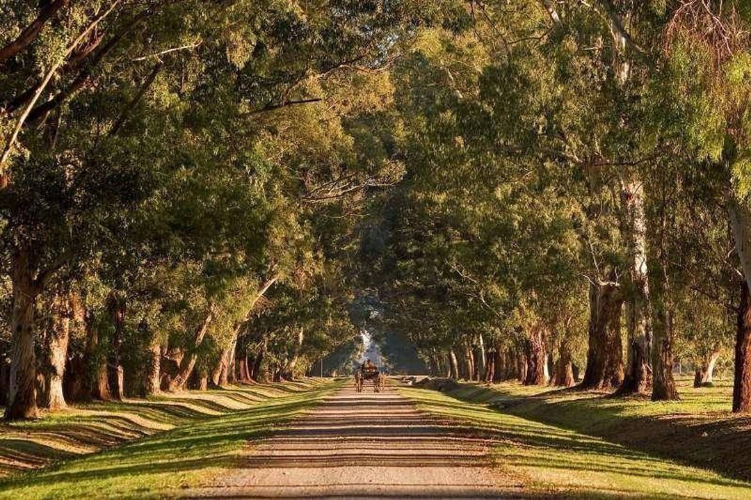 TERRENO  Estancia Villa Maria LA ESPERANZA