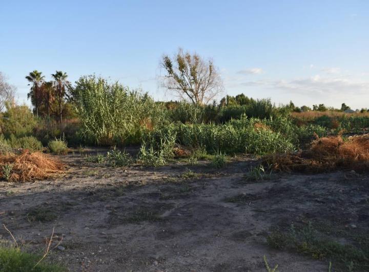 Terreno · 1m²