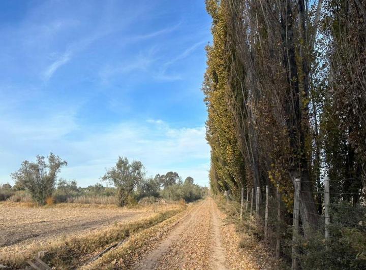 Terreno · 450m²