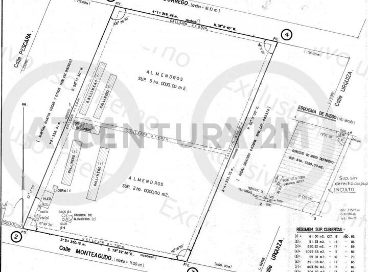 Terreno · 120m²