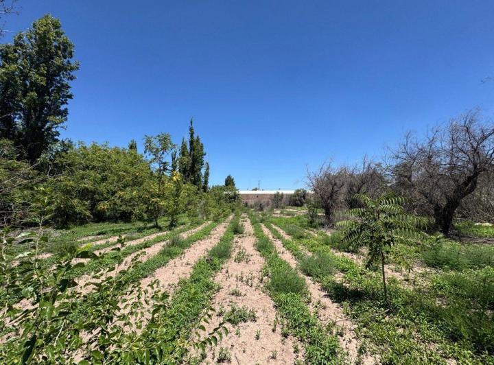 Terreno · 2633m²