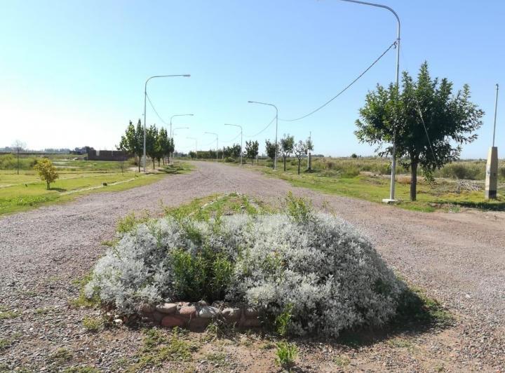 Terreno · 700m²