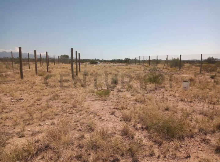 Terreno · 1000m²