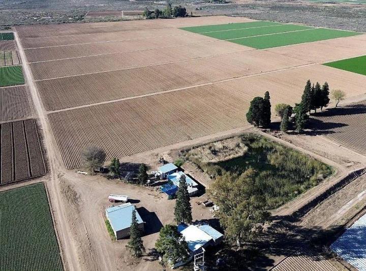 Campo · 40m²