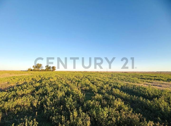 Terreno · 100m²