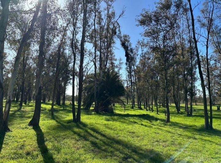Terreno · 3000m²